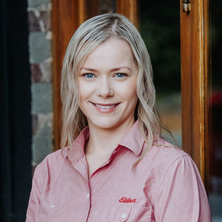 Elders Real Estate Albany Your Local Real Estate Experts